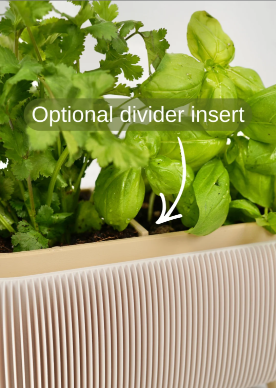 Minimalist Ribbed Herb Planter Set