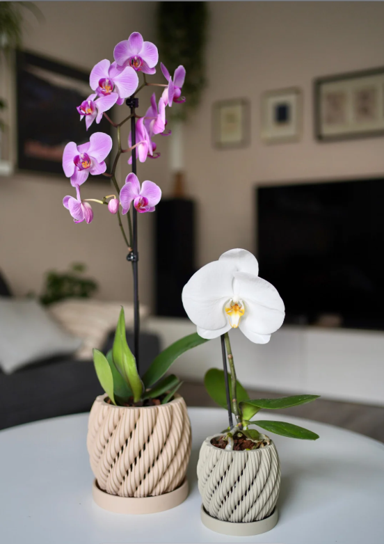 Orchid Planter with Drip Tray | Modern Ventilated Orchid Pot