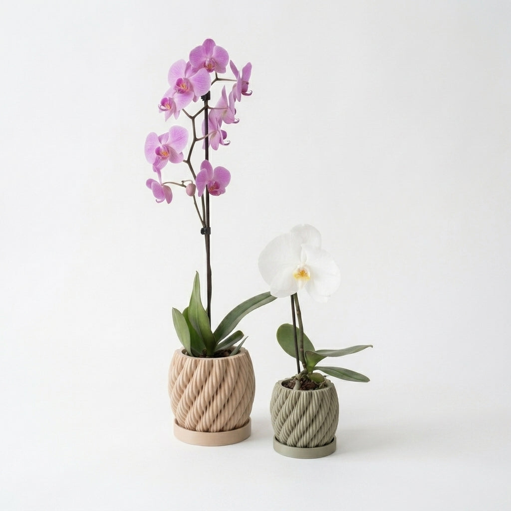 Orchid Planter with Drip Tray | Modern Ventilated Orchid Pot