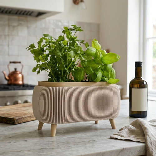 Minimalist Ribbed Herb Planter Set